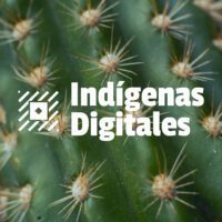 Indígenas Digitales